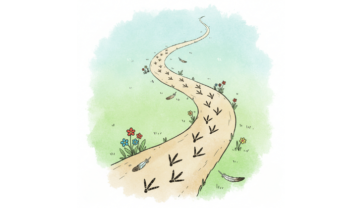 長く続く道の上に、鶴の足跡が静かに刻まれていくイラスト。優しい色合いで描かれたその足跡は、やがて“あなた自身の未来への一歩”になることを示している。